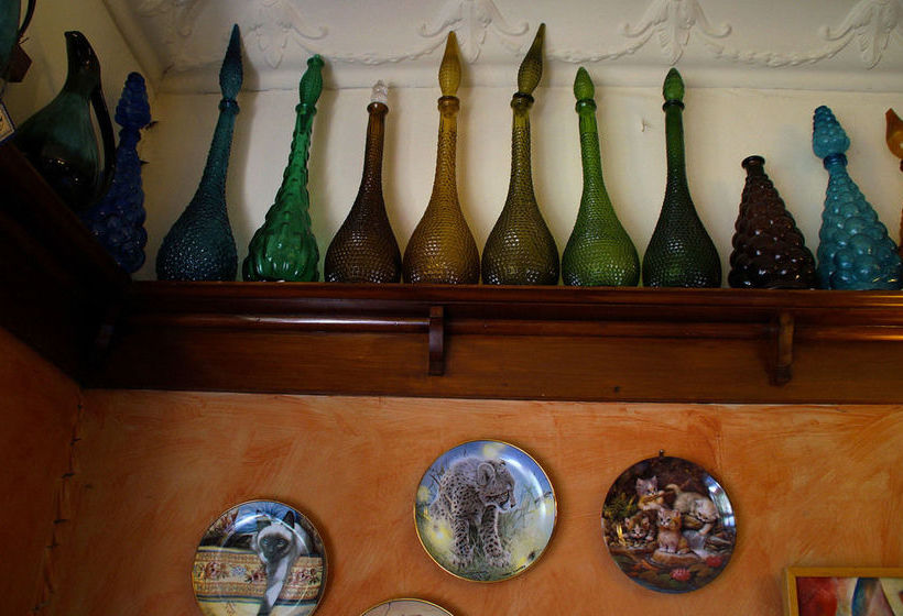 Bed and Breakfast Arden Street House Dunedin South Island