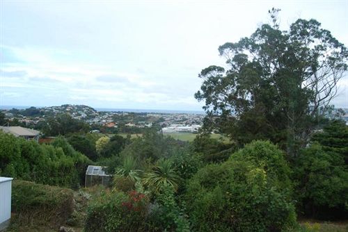 Bed & Breakfast Arden Street House 18