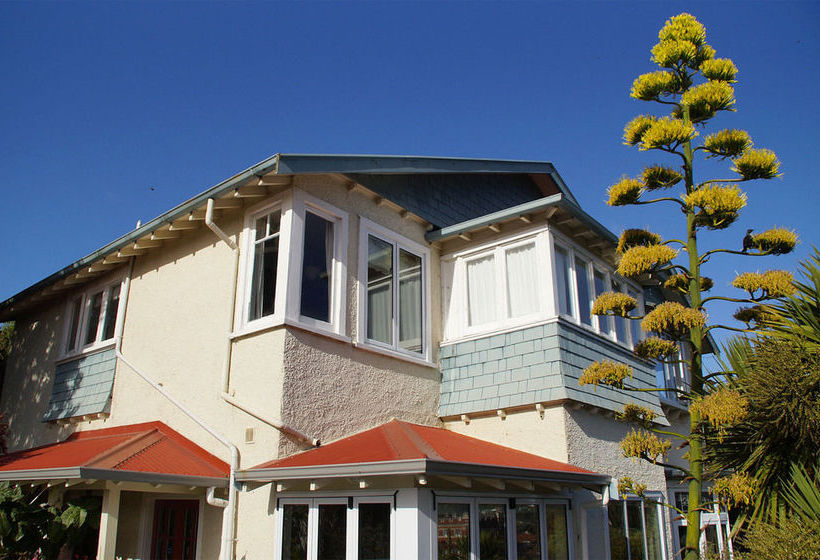 Bed & Breakfast Arden Street House 5