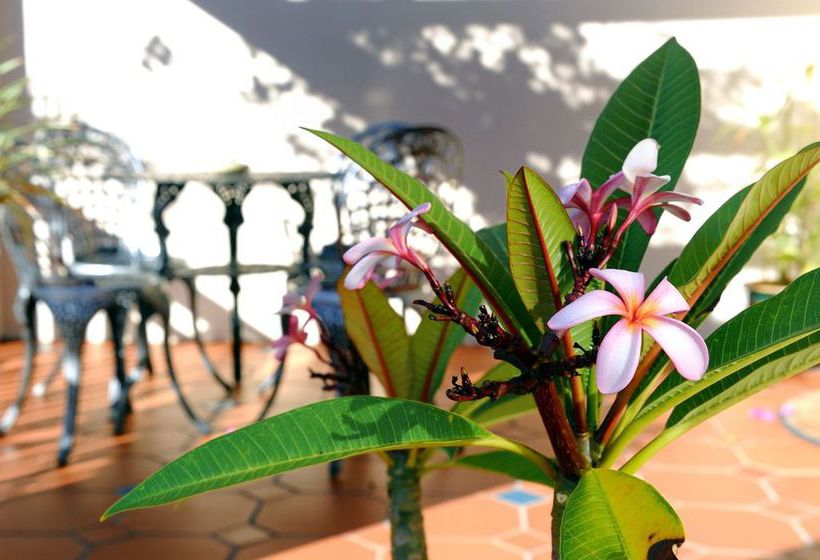 Pension Bayside Guesthouse 20