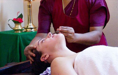 Hotel Ideal Ayurvedic Resort 1