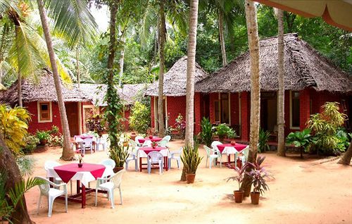 Hotel Ideal Ayurvedic Resort 5