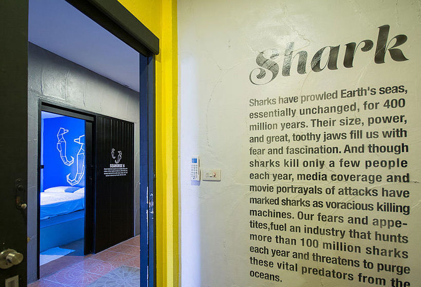 Monkey Dive Hostel Khaolak 10