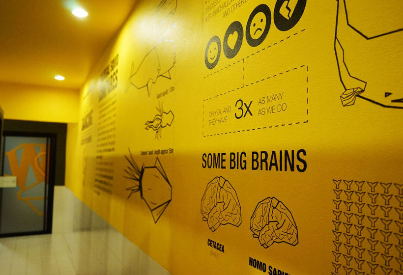 Monkey Dive Hostel Khaolak 17