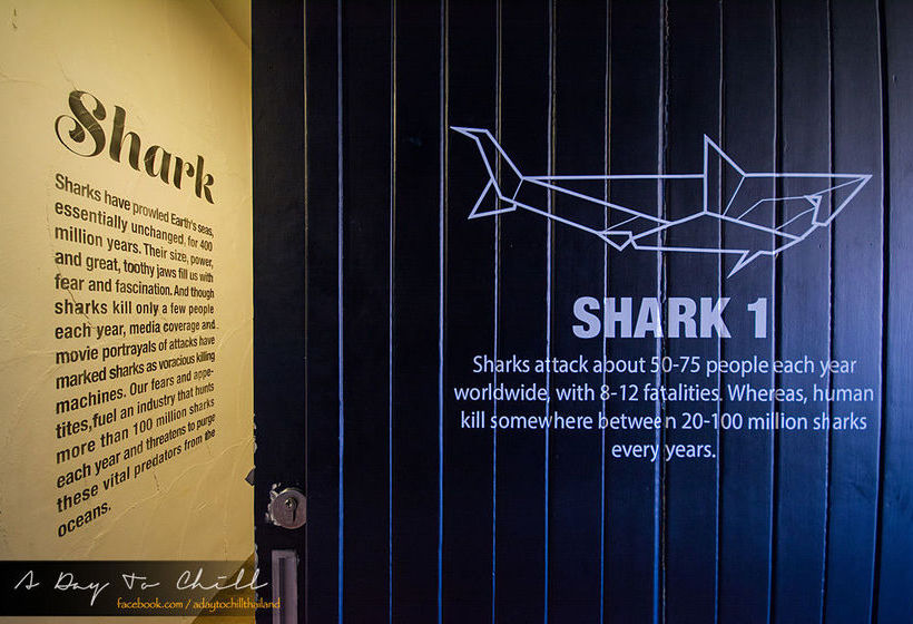 Monkey Dive Hostel Khaolak 8