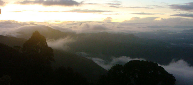 Hotel Leisure Vacations The Club Munnar 5