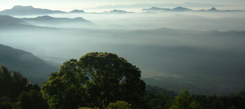 Hotel Leisure Vacations The Club Munnar 6