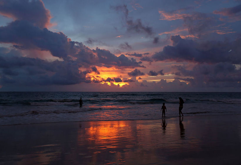 Karon View Royal Lotus 14