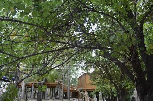 Hotel Welcomheritage Lha-ri-sa Resort 8