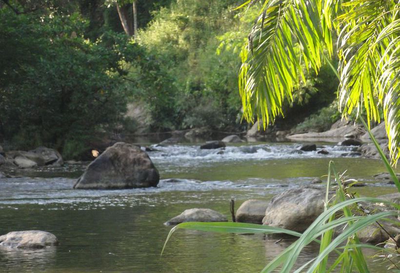 Hotel Khaosok Rainforest Resort 10