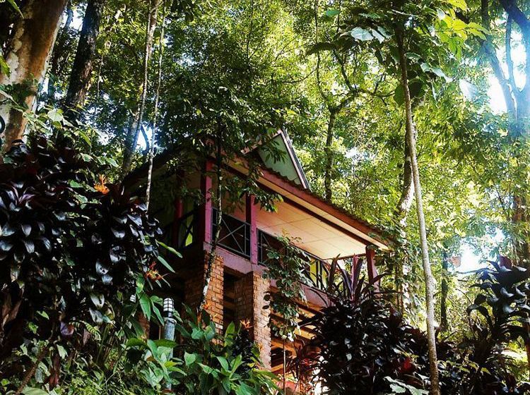 Hotel Khaosok Rainforest Resort 17