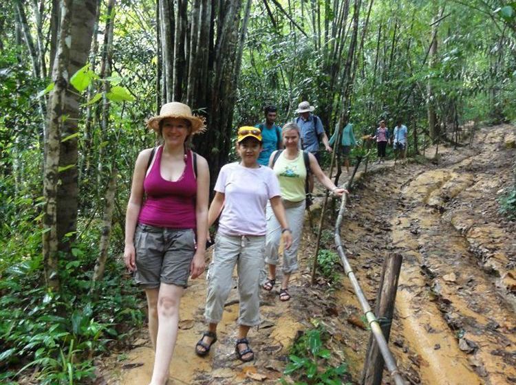 Hotel Khaosok Rainforest Resort 18