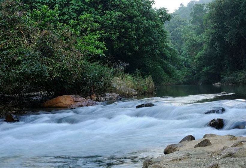 Hotel Khaosok Rainforest Resort 2