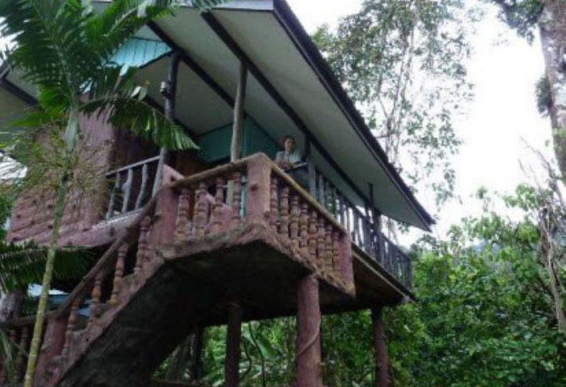 Pensión Tree Top River Huts