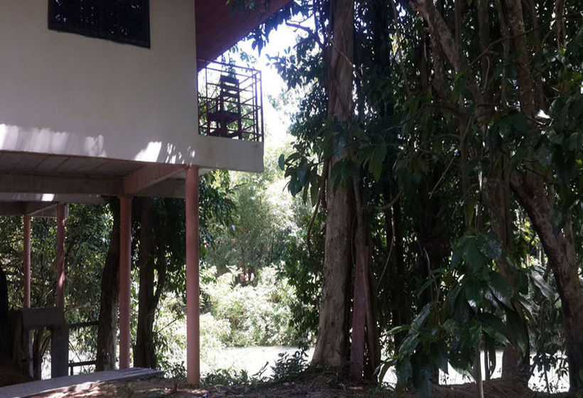 Pension Khao Sok Jungle Huts 13