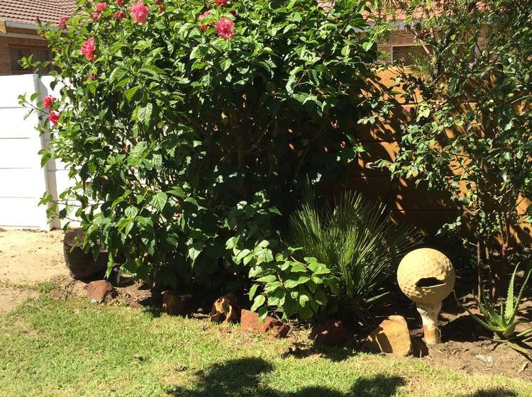 Pension One One Guest House 3