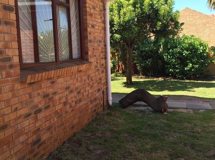 Pension One One Guest House 8