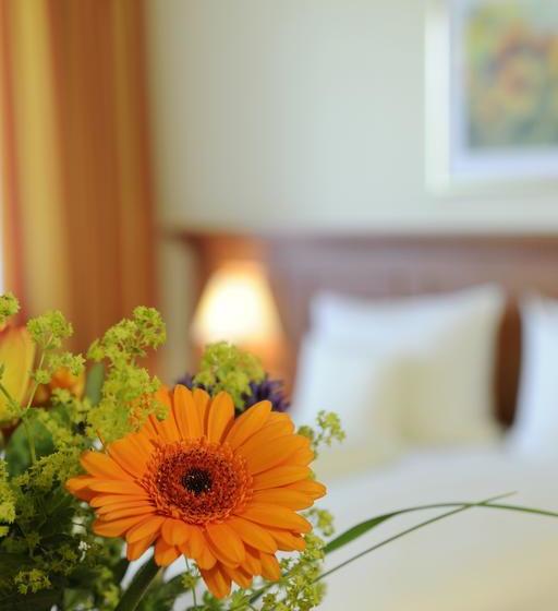 Johannesbad Vitalhotel Jagdhof 7