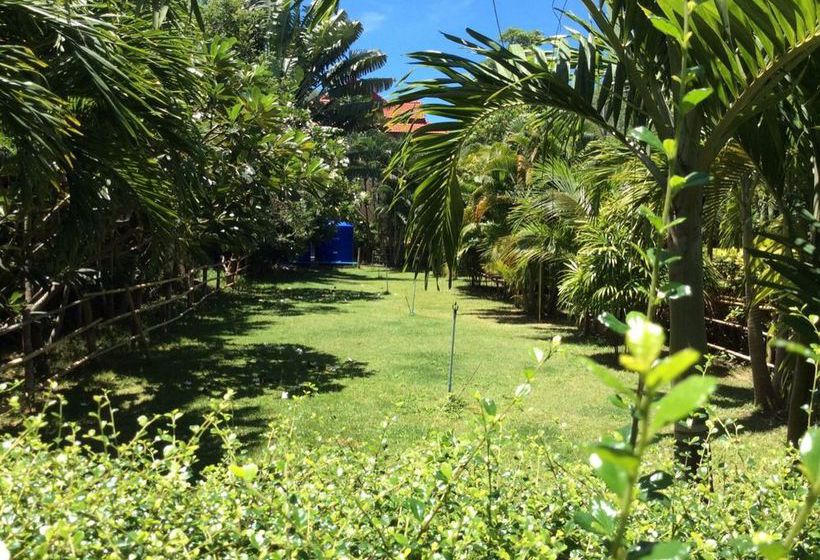 Hotel Asia Resort Koh Tao 11