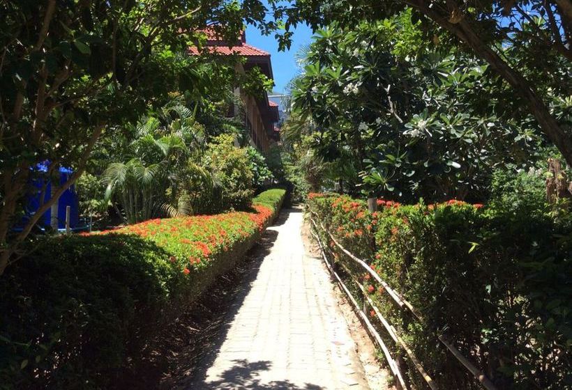 Hotel Asia Resort Koh Tao 13