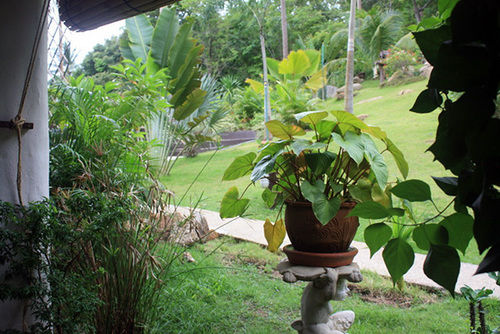 Hotel Suan Sawan Hoilday Home 18