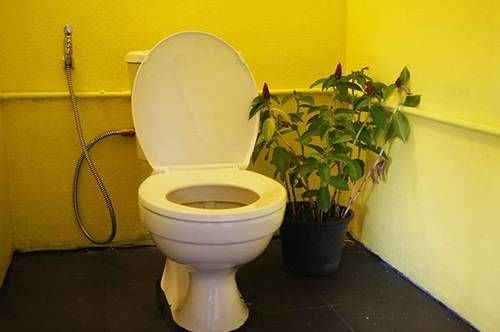 Dorm Des Fleurs Hostel Phang Nga