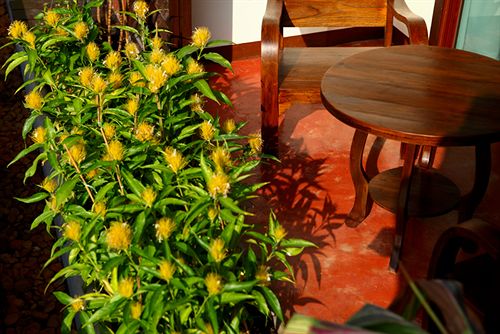 Hotel Bb Mantra Boutique & Budget 19