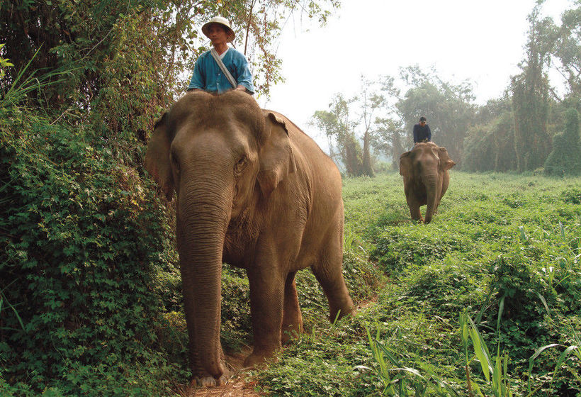 Hotel Four Seasons Tented Camp Golden Triangle 12