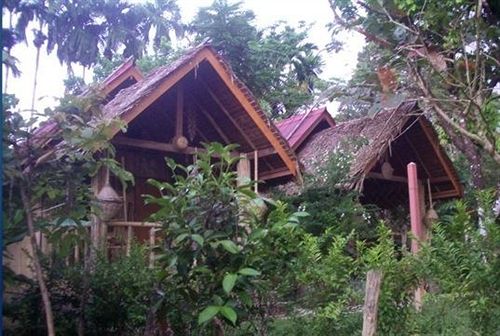 Morning Mist Resort 1