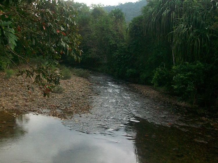 Hotel Bamboo House 9