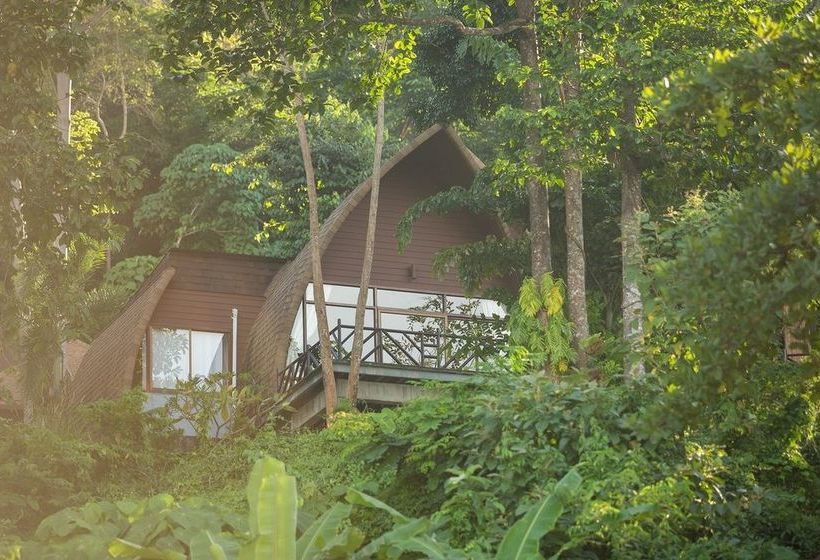 Hotel The Cove Phi Phi 6