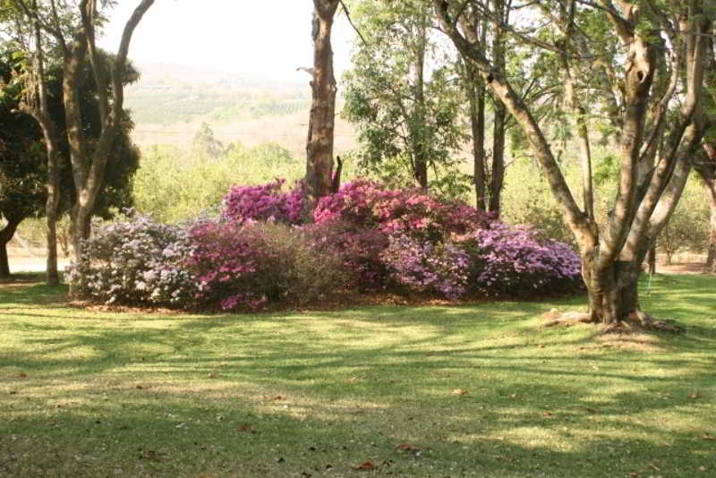 Hotel Laughing Waters Guest House 11