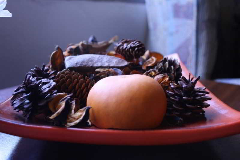 Hotel Laughing Waters Guest House 15