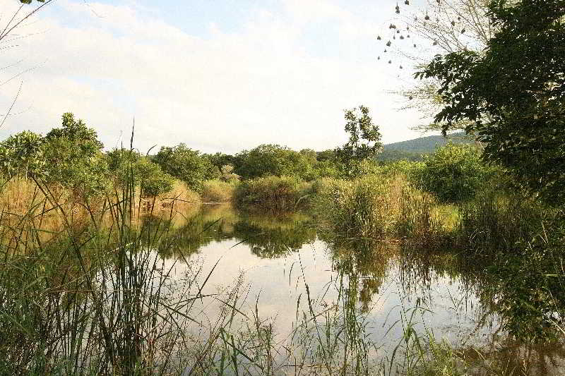 Hotel Laughing Waters Guest House 6