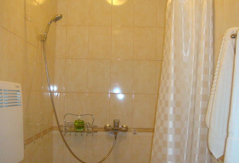 Hotel Alexandriya Vnukovo 5