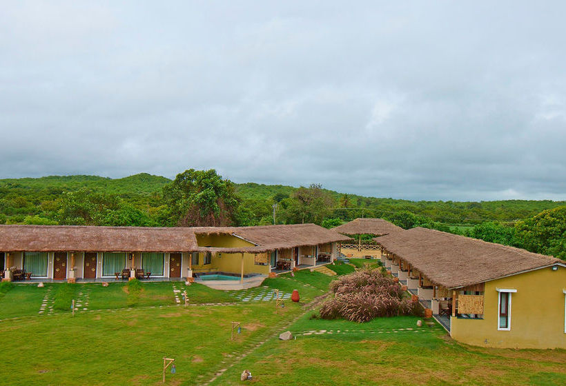 Hotel Asiatic Lion Lodge 9