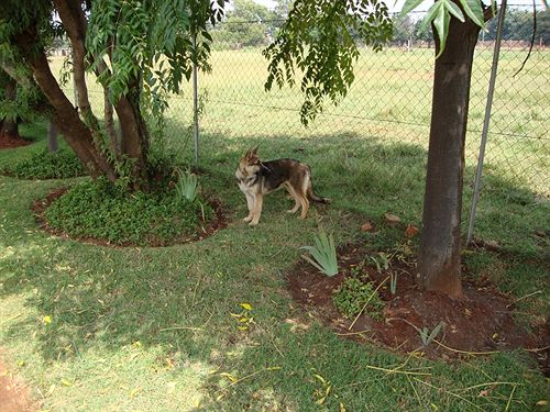 Pension Gateway Guest House 17