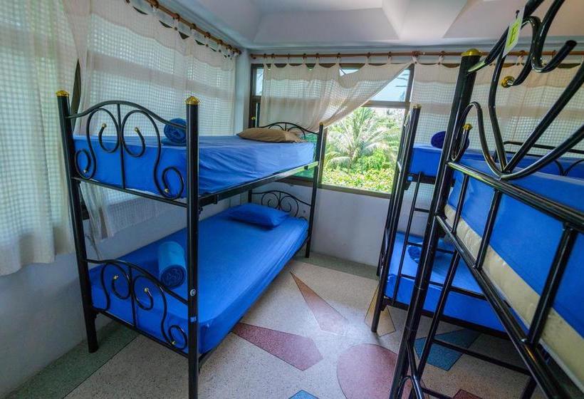 Hostel Hacienda Backpackers 5