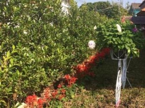 Hotel Isabel Boutique 15