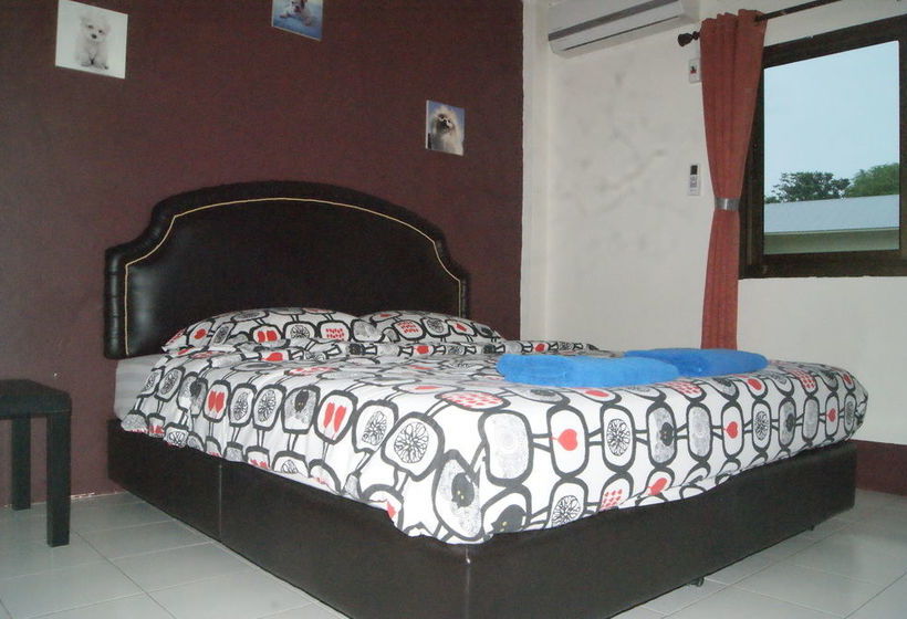 Hotel Pineapple Guesthouse 20