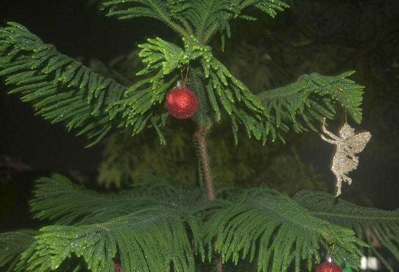 Hotel On Hill Residence Patong Phuket 9