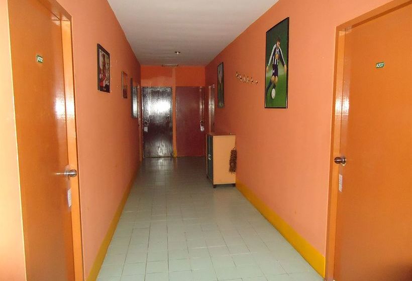 Hotel Kangaroo Guesthouse 11