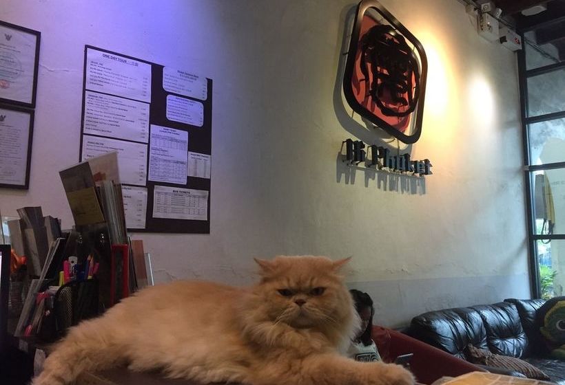 Hotel Ai Phuket Hostel 2