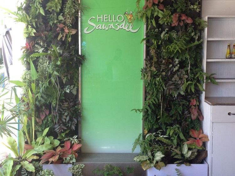 Hotel Golden Guesthouse 15