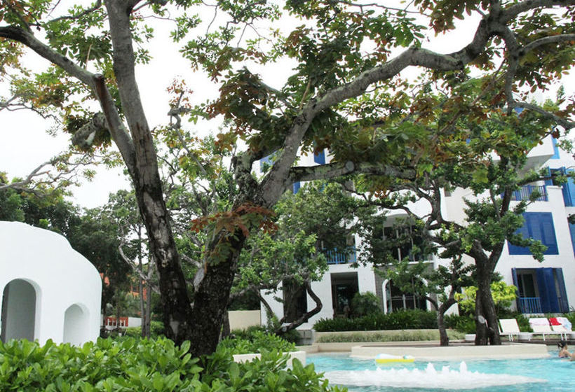 Chelona Khaotao Hua Hin E702 5