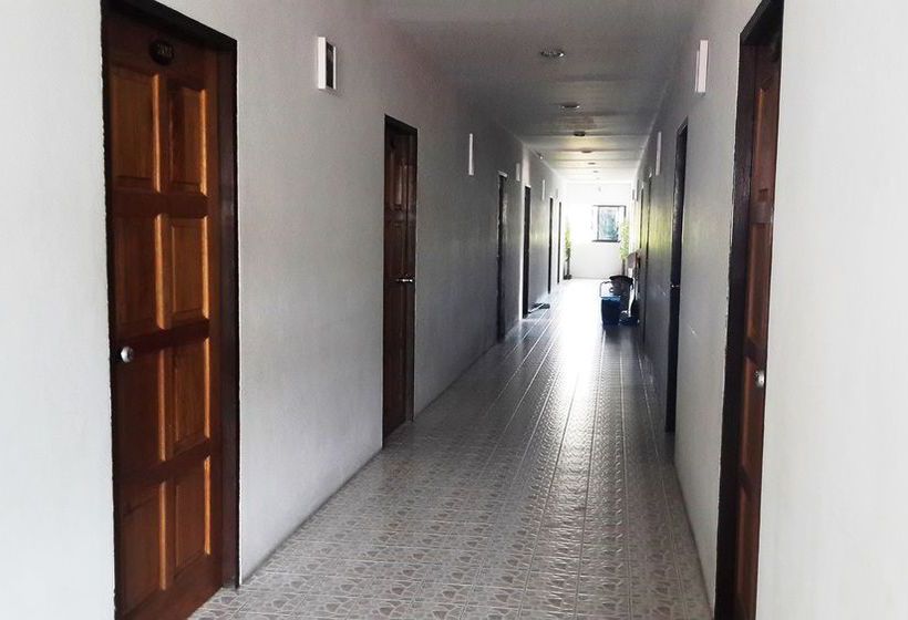 Hotel The New Villa 10