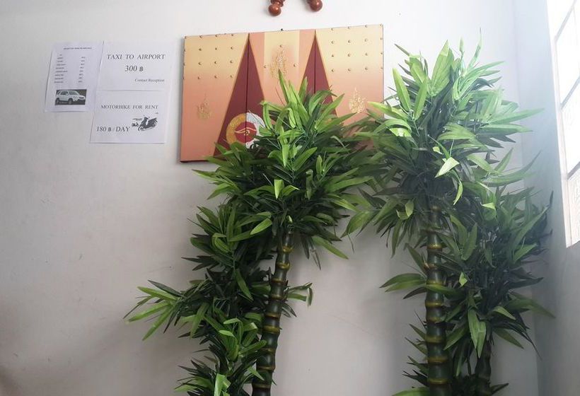 Hotel The New Villa 5