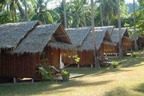 Hotel The Jungle Club 1