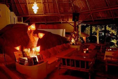 Hotel The Jungle Club 11