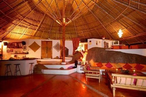 Hotel The Jungle Club 12